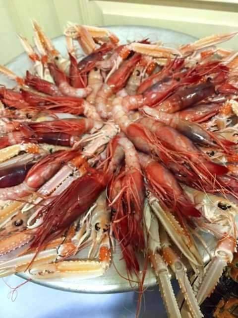 Dal Pescatore Appartamenti 사벨레트리 외부 사진